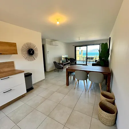 T3 De Standing Neuf Vue Propriano (Corsica)