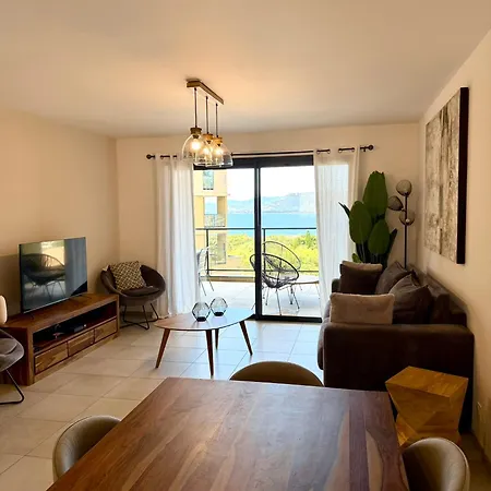 T3 De Standing Neuf Vue Propriano (Corsica)